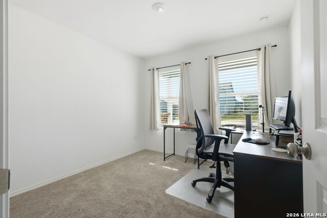 Image 17 of 27 For 124 Wood Moss