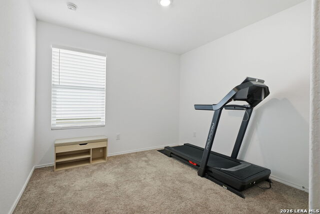 Image 19 of 27 For 124 Wood Moss