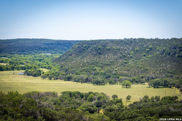 Image 14 of 50 For 1012 Mourning Dove