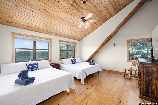 Image 26 of 50 For 1012 Mourning Dove