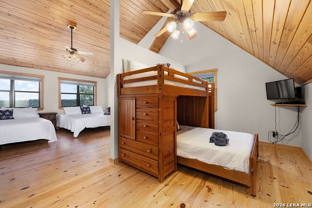 Image 28 of 50 For 1012 Mourning Dove