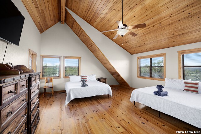 Image 41 of 50 For 1012 Mourning Dove