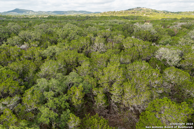 Image 26 of 51 For 000 Wharton's Dock Rd