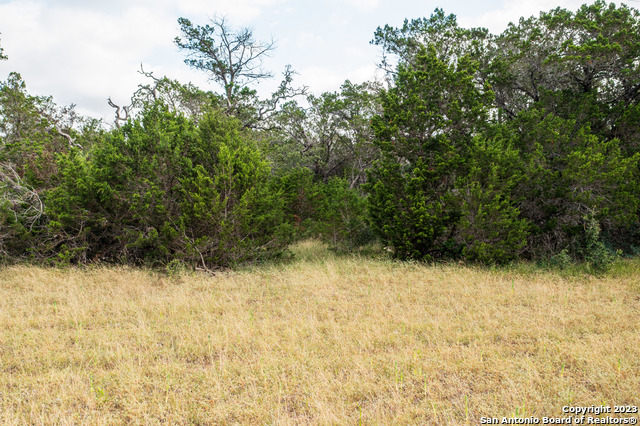 Image 37 of 51 For 000 Wharton's Dock Rd