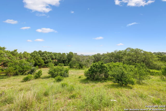 Image 11 of 22 For 257 Augusta  