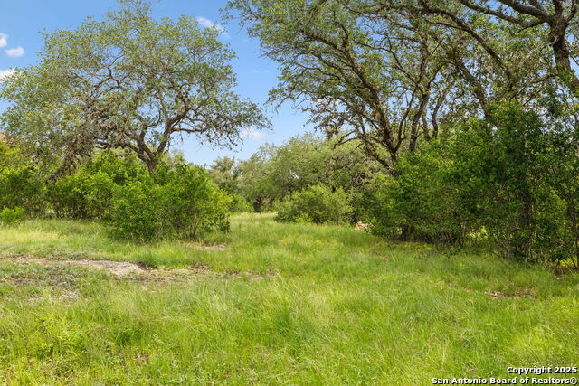 Image 12 of 22 For 257 Augusta  