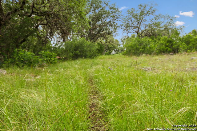 Image 15 of 22 For 257 Augusta  