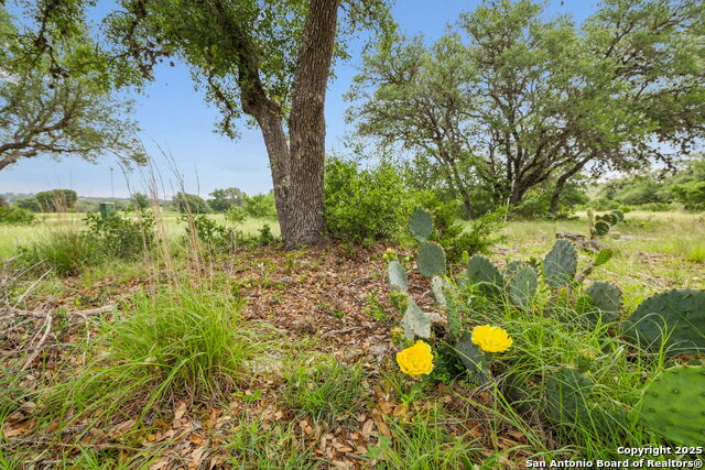 Image 16 of 22 For 257 Augusta  