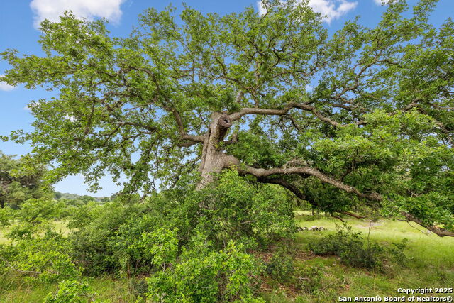 Image 19 of 22 For 257 Augusta  