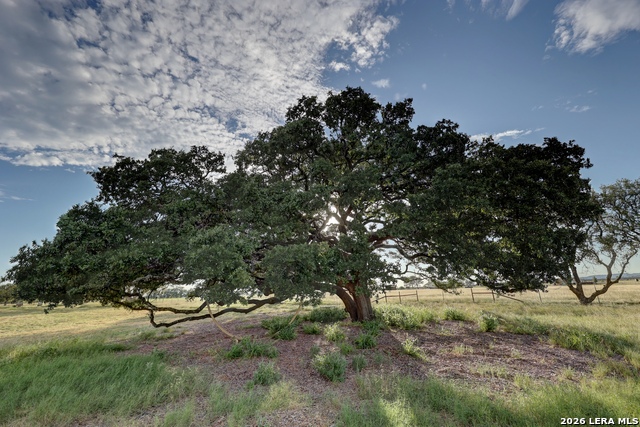 Listing photo id 96 for 2021 Fm 3240