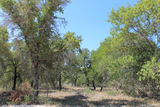 Details for 11913 Fm 476 W, Somerset, TX 78069