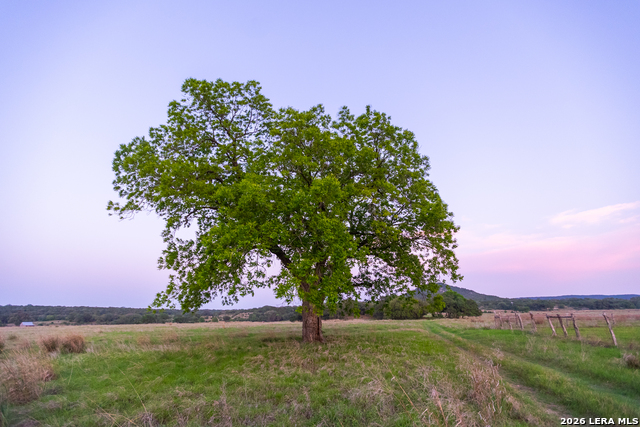 Image 15 of 47 For 2991 Fm 470  
