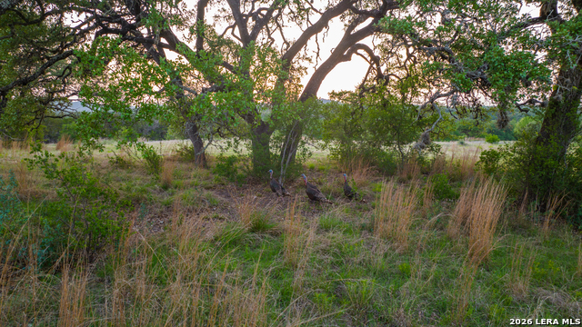 Image 40 of 47 For 2991 Fm 470  