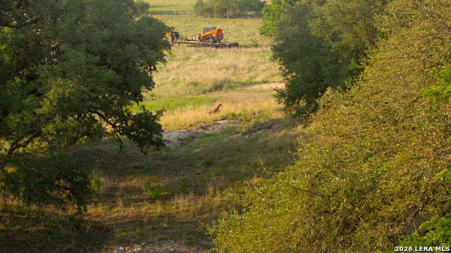 Image 46 of 47 For 2991 Fm 470  