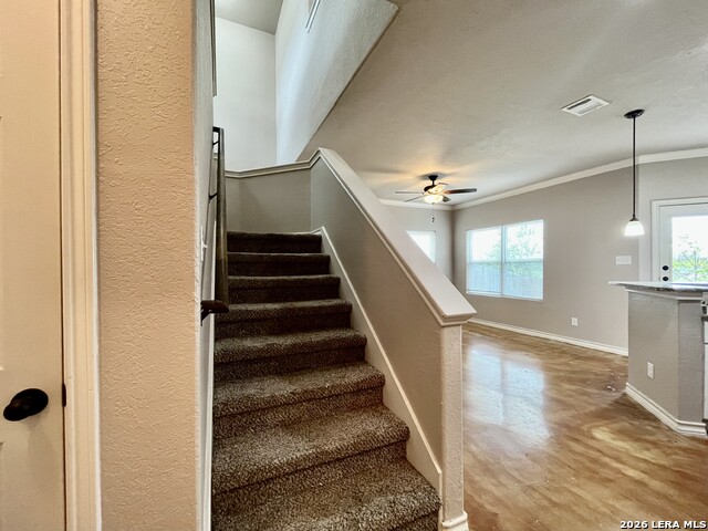 Image 14 of 32 For 1793 Tristan Trail