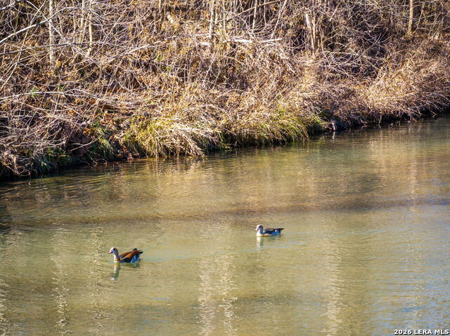 Image 19 of 22 For 833 Bingham  