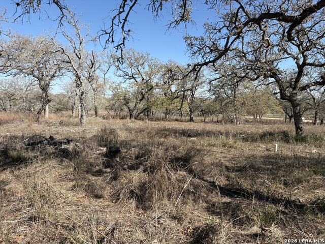 Image 10 of 12 For 165 Littlehorn Lane