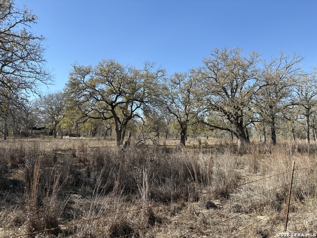 Image 3 of 12 For 165 Littlehorn Lane