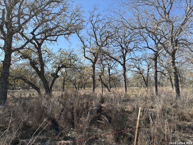 Image 4 of 12 For 165 Littlehorn Lane