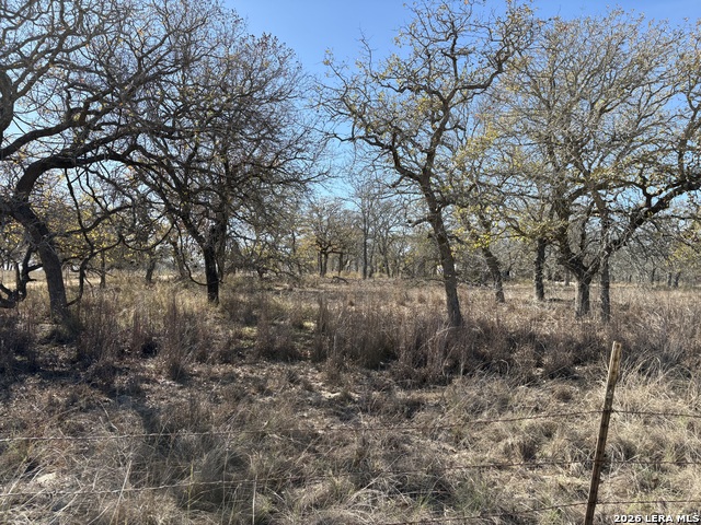 Image 6 of 12 For 165 Littlehorn Lane