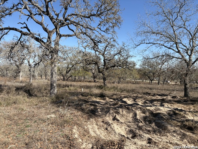 Image 9 of 12 For 165 Littlehorn Lane