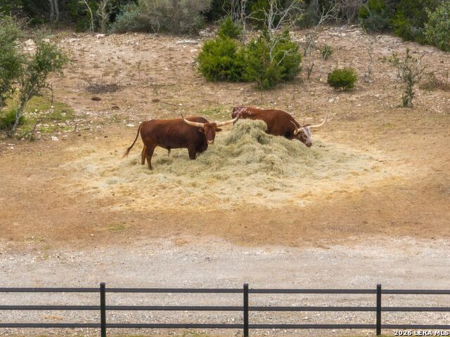 Image 54 of 57 For 298 Table Rock