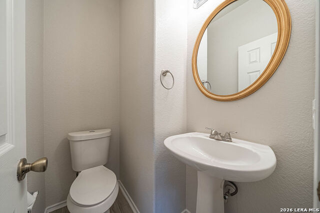 Image 17 of 40 For 24614 Wine Rose