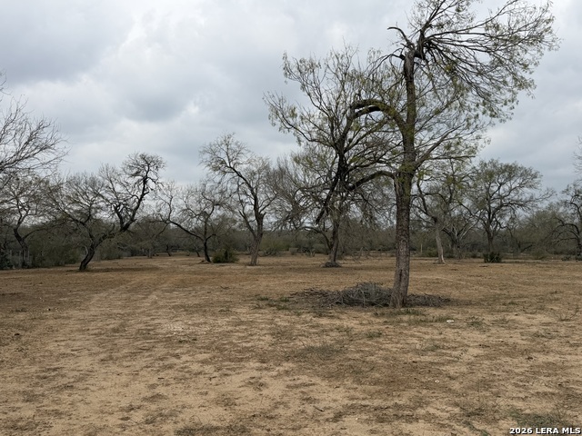 Image 17 of 23 For 21115 Spanish Grant