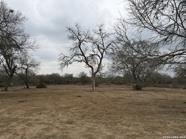 Image 19 of 23 For 21115 Spanish Grant