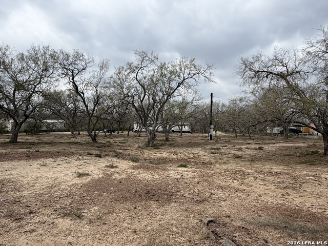 Image 3 of 23 For 21115 Spanish Grant