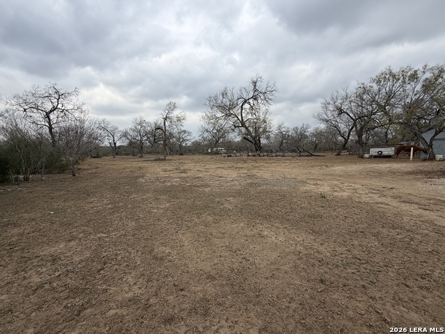 Image 8 of 23 For 21115 Spanish Grant