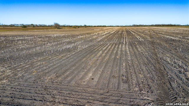 Image 10 of 26 For 0000 Fm 1349 (39.87 Ac)