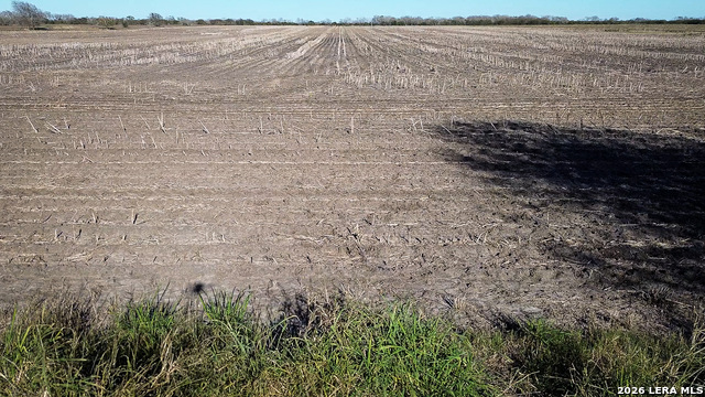 Image 15 of 26 For 0000 Fm 1349 (39.87 Ac)