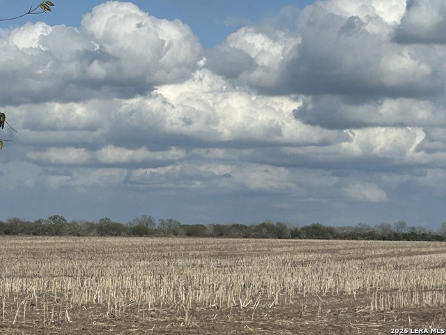 Image 18 of 26 For 0000 Fm 1349 (39.87 Ac)