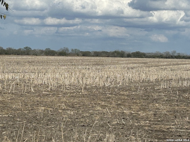 Image 19 of 26 For 0000 Fm 1349 (39.87 Ac)