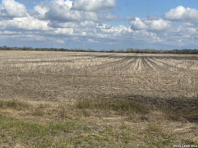 Image 20 of 26 For 0000 Fm 1349 (39.87 Ac)