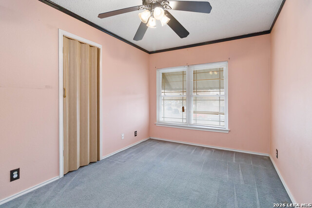 Listing photo id 7 for 423 Rosa Verde