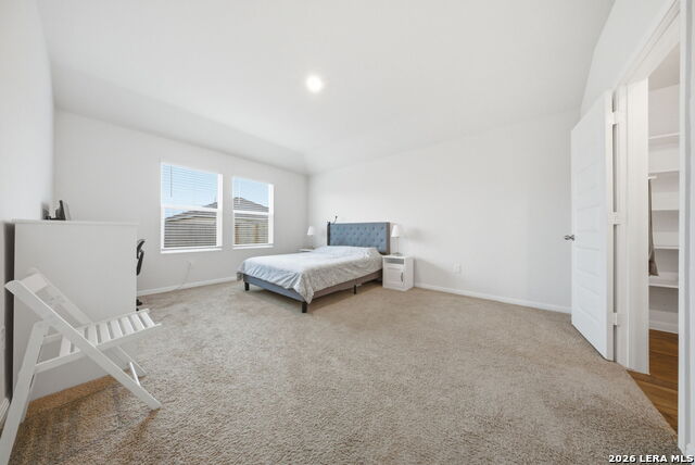 Image 11 of 52 For 323 Elephants Ear