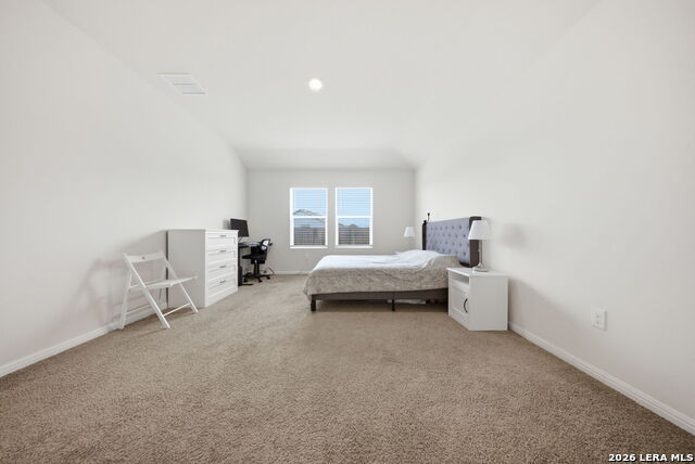 Image 12 of 52 For 323 Elephants Ear