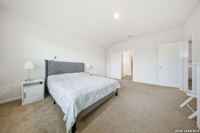 Image 13 of 52 For 323 Elephants Ear