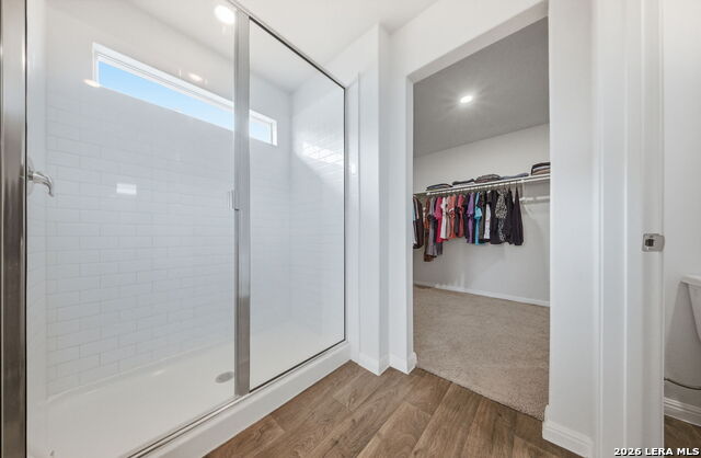 Image 16 of 52 For 323 Elephants Ear