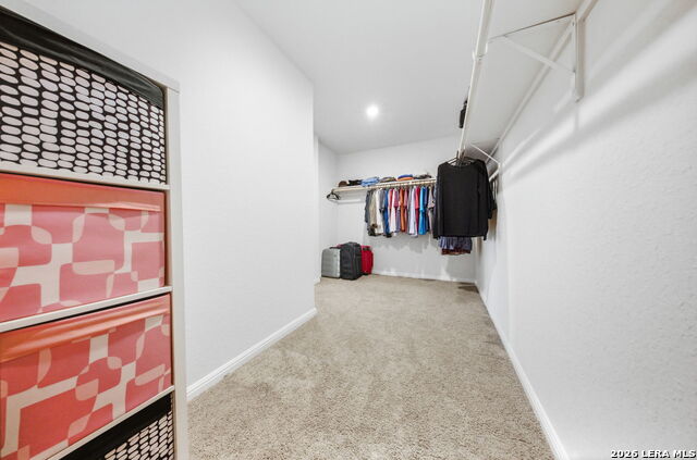 Image 17 of 52 For 323 Elephants Ear