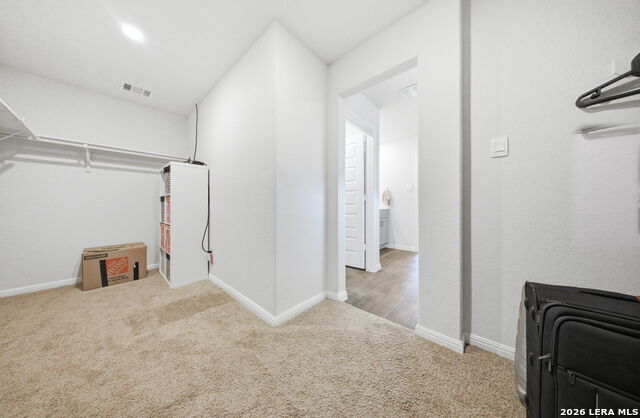 Image 18 of 52 For 323 Elephants Ear