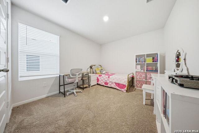 Image 19 of 52 For 323 Elephants Ear