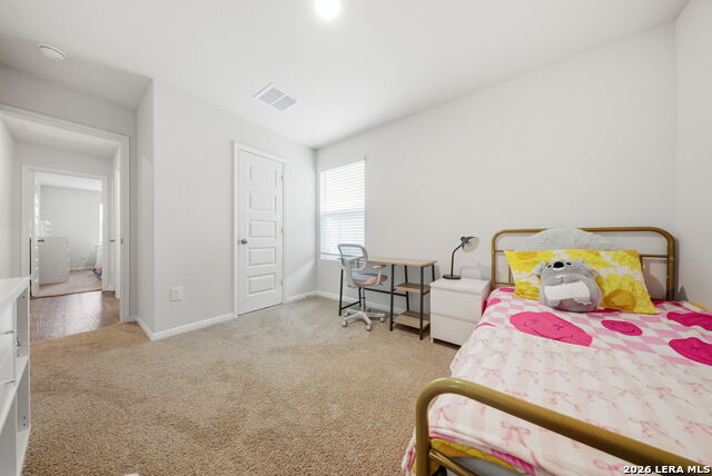 Image 20 of 52 For 323 Elephants Ear