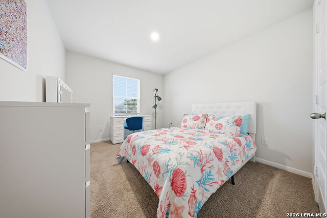 Image 22 of 52 For 323 Elephants Ear