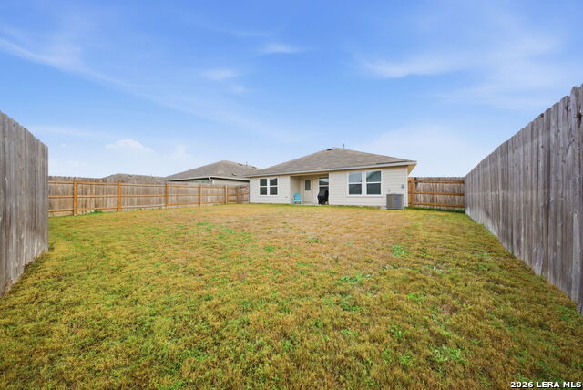 Image 27 of 52 For 323 Elephants Ear