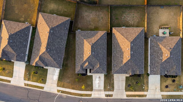 Image 28 of 52 For 323 Elephants Ear