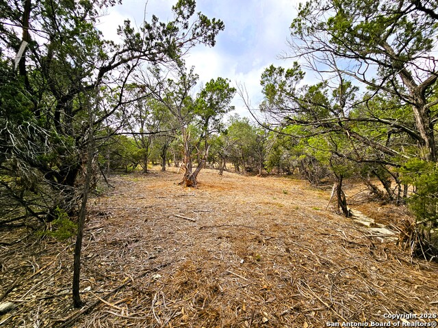 Image 11 of 14 For 30806 Bulverde Hills