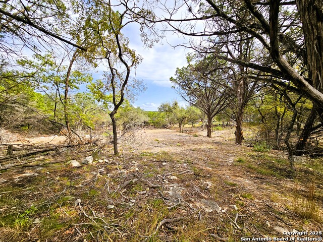 Image 8 of 14 For 30806 Bulverde Hills